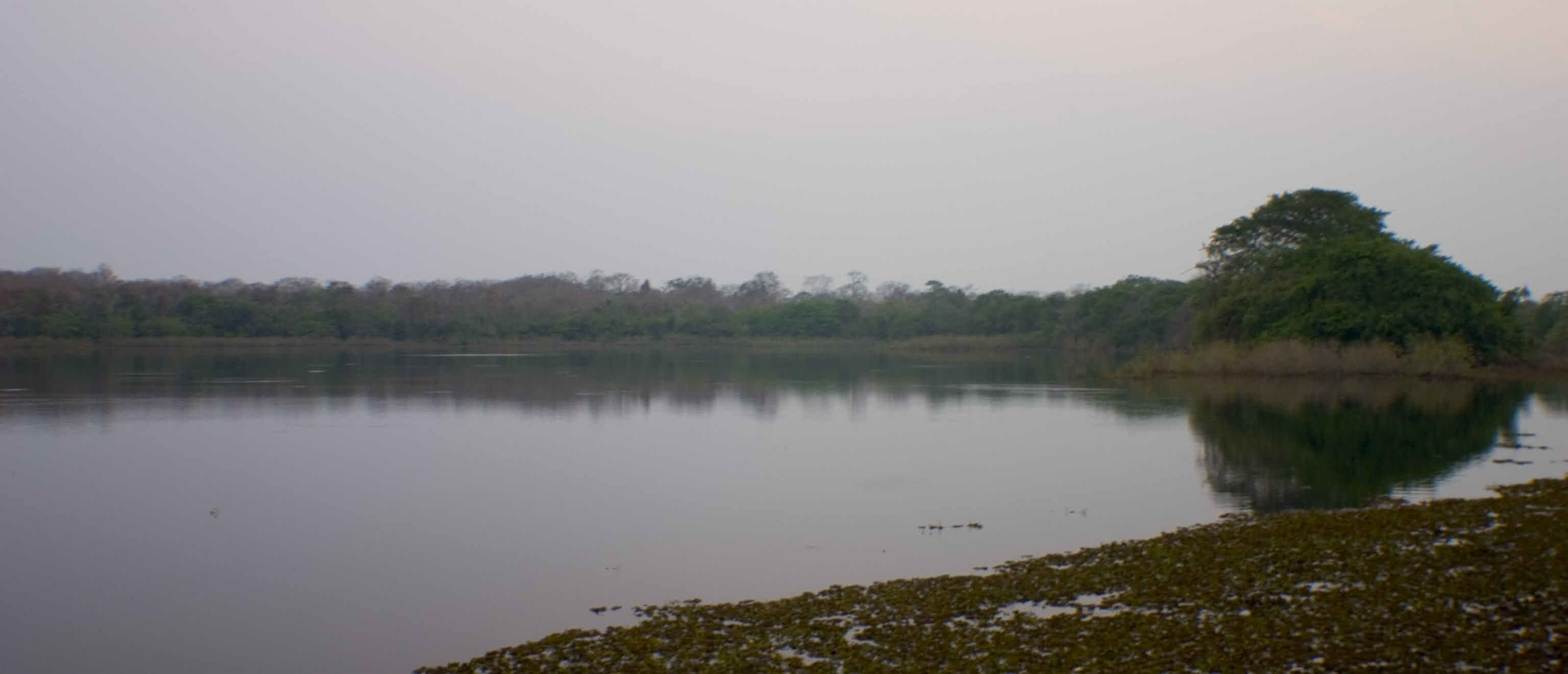 Wetlands - Pantanal